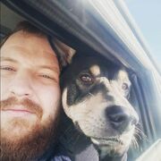 ���������� �������, ���� ������� ������, 34 ����, ������������ ��� ������, ����� � ���������, c�������� ���������, ���������