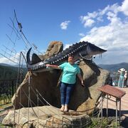 ���������� ��������, ���� ������� ��������, 56 ���, ������������ ��� ������, ����� � ���������, c�������� ���������