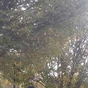  ,  , 37