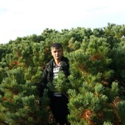  ,   , 52 ,   ,   , c 