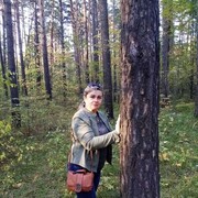  ,   , 54 ,  