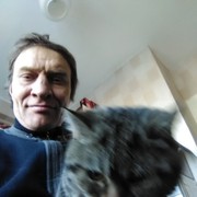  ,   , 51 ,   