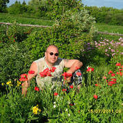 ���������� ����, ���� ������� �������, 53 ����, ������������ ��� ������