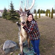 ���������� ����������, ���� ������� ��������, 48 ���, ������������ ��� c�������� ���������