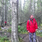 ���������� ���, ���� ������� ������, 55 ���, ������������ ��� ������, ����� � ���������, c�������� ���������