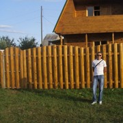 ,   Egor, 36 ,   ,   , c 