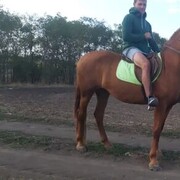  -,   , 37 ,   ,   