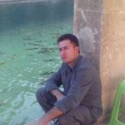  ,   , 34 ,   ,   