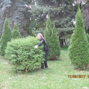   ,   , 44 ,     , c 