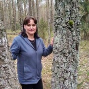 ���������� �����, ���� ������� �������, 56 ���, ������������ ��� ����� � ���������, c�������� ���������, ���������