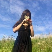  ,   , 28 ,   