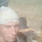  ,   , 41 ,   ,   , c , 
