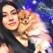 ���������� ���������, ���������