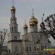  ,   , 49 ,     , c 