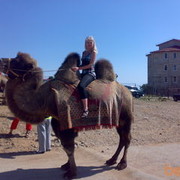 ���������� ������, ���� ������� ���, 47 ���, ������������ ��� ����� � ���������, c�������� ���������