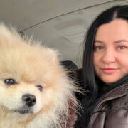 ���������� ��������, ���� ������� �����, 40 ���, ������������ ��� ����� � ���������, c�������� ���������