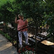  ,   , 66 ,   ,   