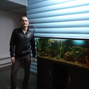 ���������� ��������, ���� ������� ������, 33 ����, ������������ ��� ������, ����� � ���������, c�������� ���������