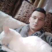 ���������� �����-���������, ���� ������� Sho�, 31 ���, ������������ ��� ������, ����� � ���������