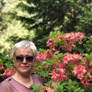  ,   Alla, 65 ,  