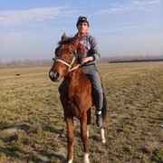  ,   SADAM, 30 ,   ,   , c 