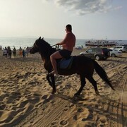 ���������� ����-���, ���� ������� �������, 28 ���, ������������ ��� ������, ����� � ���������