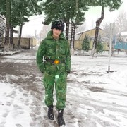  ,   , 33 ,   