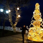  -,   Denis, 46 ,   ,   , c 