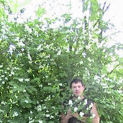 ���������� �������, ���� ������� �����, 40 ���, ������������ ��� ���������