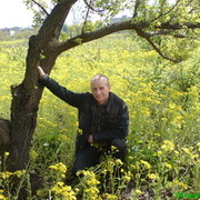 ���������� ������ ���, ���� ������� ����, 60 ���, ������������ ��� ������, ����� � ���������, c�������� ���������