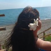 ���������� ����, ���� ������� �����, 44 ����, ������������ ��� ������, ����� � ���������