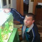  ,   Arkady, 58 ,   ,   , c 
