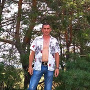 ���������� ���������, ���� ������� Niv, 50 ���, ������������ ��� ����� � ���������, c�������� ���������