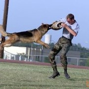 ���������� ������, ���� ������� ������, 65 ���, ������������ ��� ������