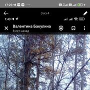 ���������� �������, ���� ������� ���������, 74 ����, ������������ ��� c�������� ���������