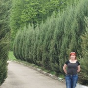  ,   , 52 ,   ,   , c 