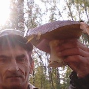  ,  , 55