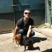  ,   , 52 ,   