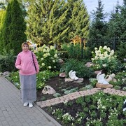 ���������� ���������, ���� ������� ���������, 60 ���, ������������ ��� c�������� ���������