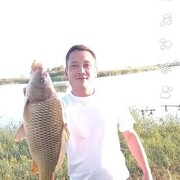 ���������� ��������, ���� ������� ����, 36 ���, ������������ ��� ������, ����� � ���������