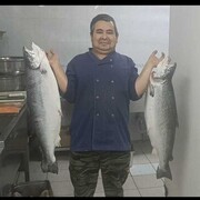  ,   , 40 ,   ,   
