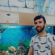 ���������� ������, ������� �����, 35