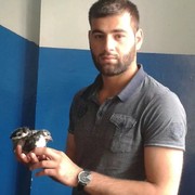 ���������� �����-���������, ���� ������� �����, 29 ���, ������������ ��� ������, ����� � ���������, c�������� ���������