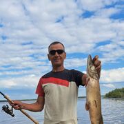 ���������� ������, ���� ������� ������, 50 ���, ������������ ��� c�������� ���������