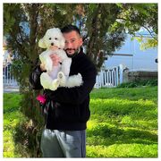 ���������� ������������, ���� ������� ���������, 36 ���, ������������ ��� ������, ����� � ���������, c�������� ���������, ���������