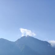 ���������� �����, ���� ������� Nik, 35 ���, ������������ ��� ������