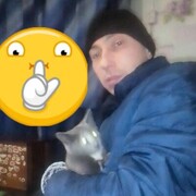  ,  , 43