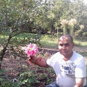 ���������� �����-���������, ���� ������� �����, 54 ����, ������������ ��� ����� � ���������, c�������� ���������, ���������