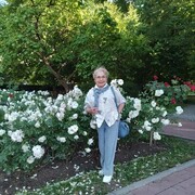 ���������� �����������, ���� ������� �����, 78 ���, ������������ ��� ����� � ���������, c�������� ���������