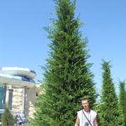 ���������� ���������, ���� ������� ��������, 43 ����, ������������ ��� ������, ����� � ���������, c�������� ���������